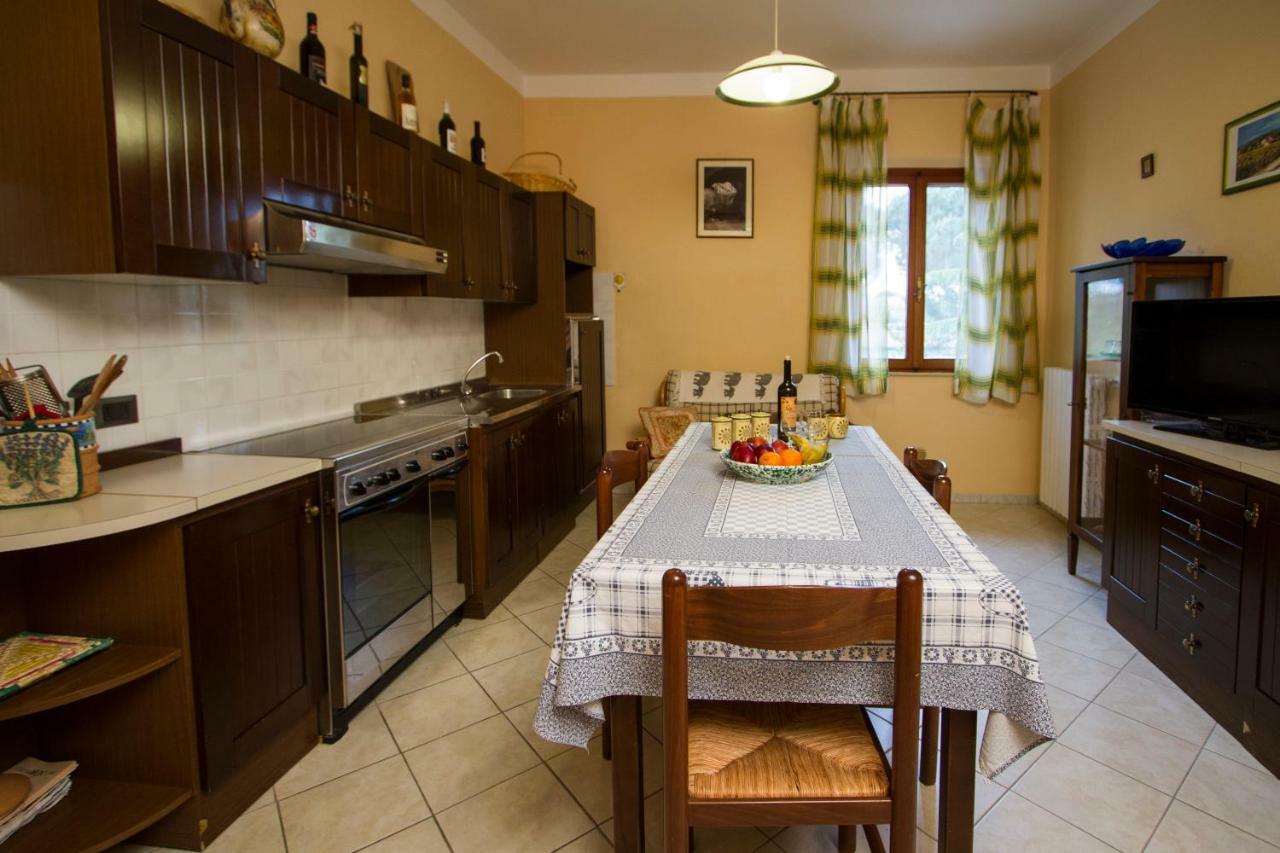 Appartement Casa Elena à Cortone Extérieur photo